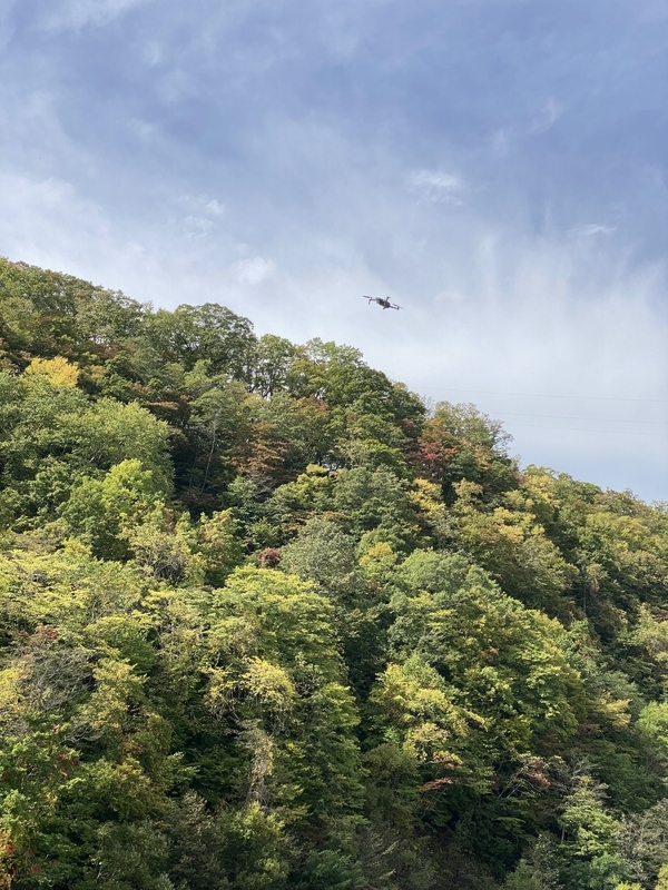 f:id:irodoriirodori:20211014030149j:plain