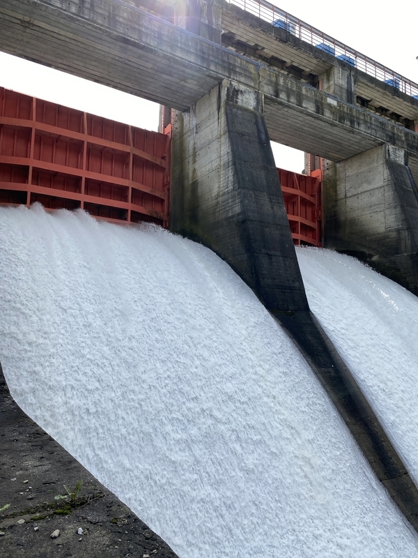 f:id:irodoriirodori:20211014030159j:plain