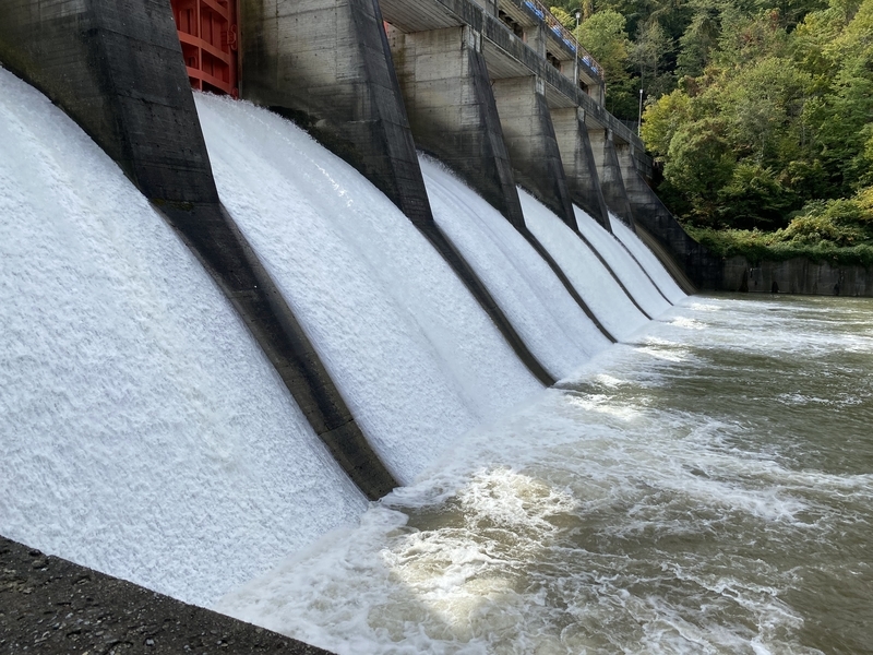 f:id:irodoriirodori:20211014030206j:plain