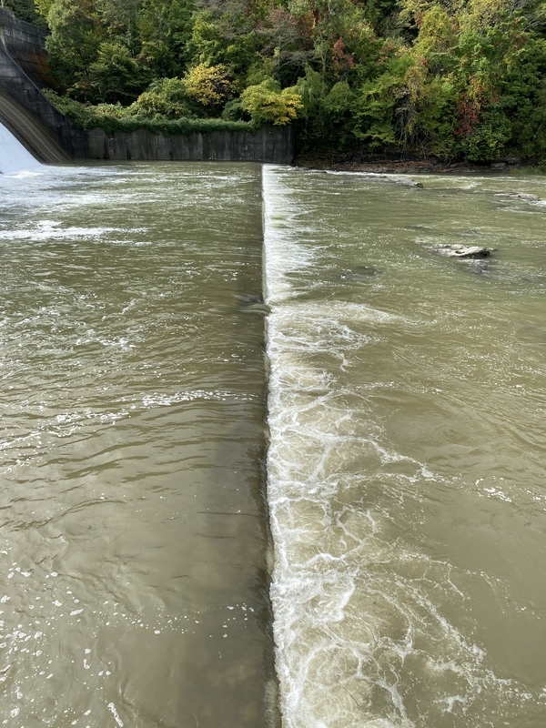 f:id:irodoriirodori:20211014030215j:plain