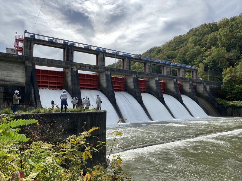 f:id:irodoriirodori:20211014030231j:plain