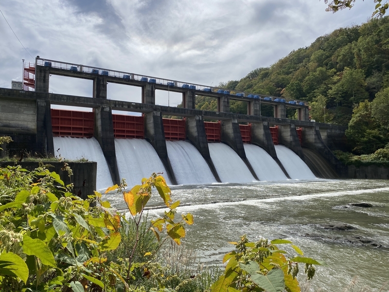 f:id:irodoriirodori:20211014030456j:plain