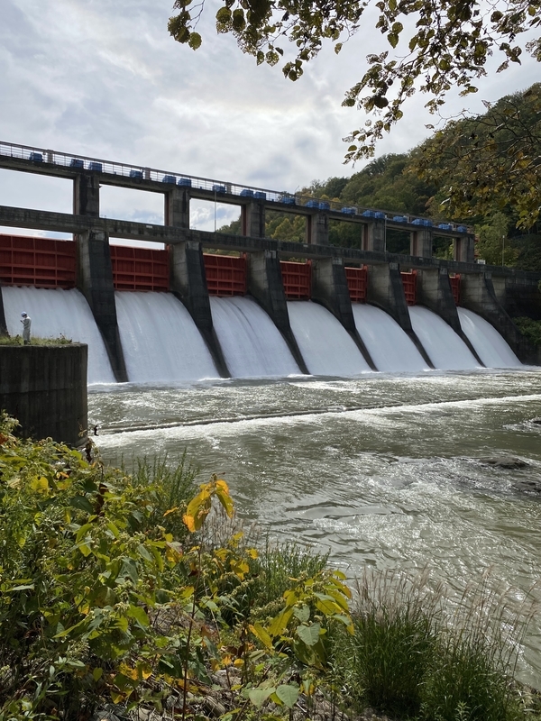 f:id:irodoriirodori:20211014030505j:plain