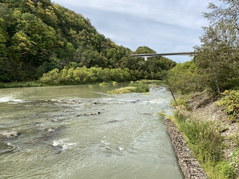 f:id:irodoriirodori:20211014030529j:plain