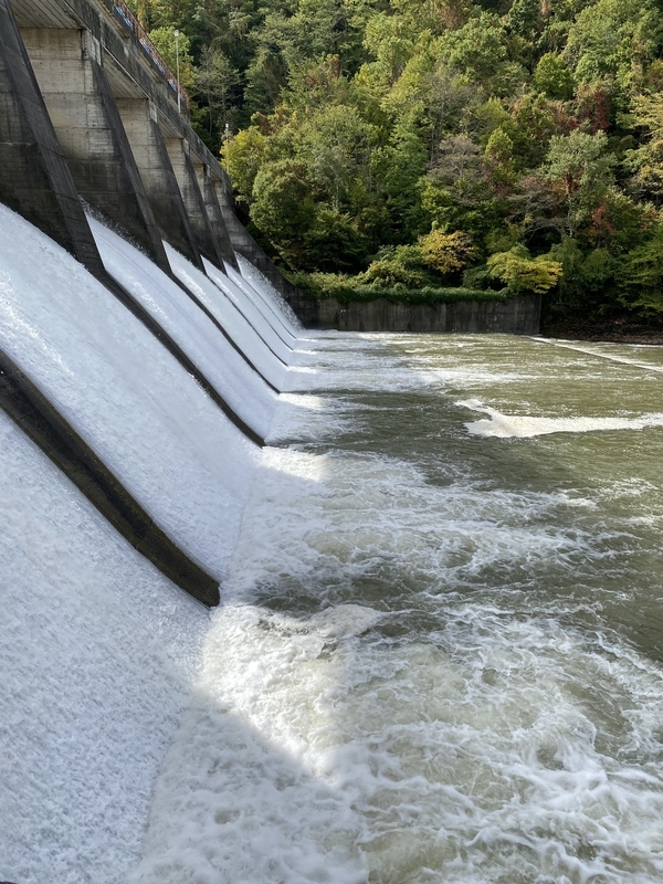 f:id:irodoriirodori:20211014030548j:plain