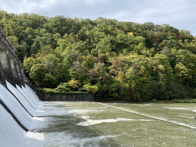 f:id:irodoriirodori:20211014030556j:plain