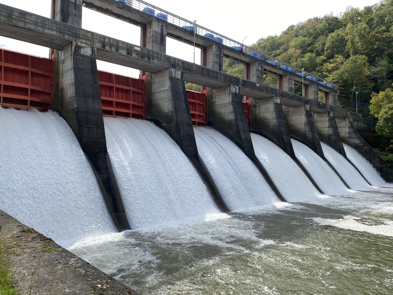 f:id:irodoriirodori:20211014030605j:plain