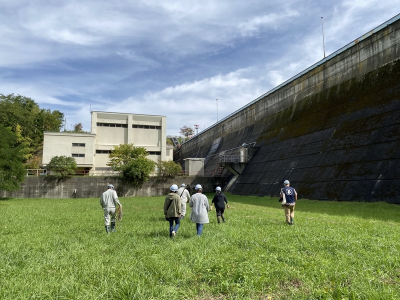 f:id:irodoriirodori:20211014030622j:plain