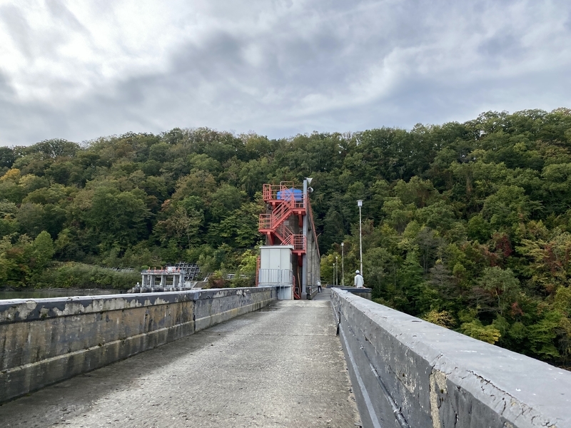 f:id:irodoriirodori:20211014030716j:plain