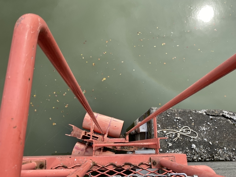 f:id:irodoriirodori:20211014030758j:plain