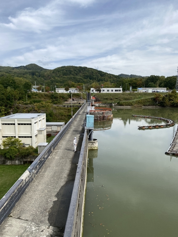 f:id:irodoriirodori:20211014030813j:plain