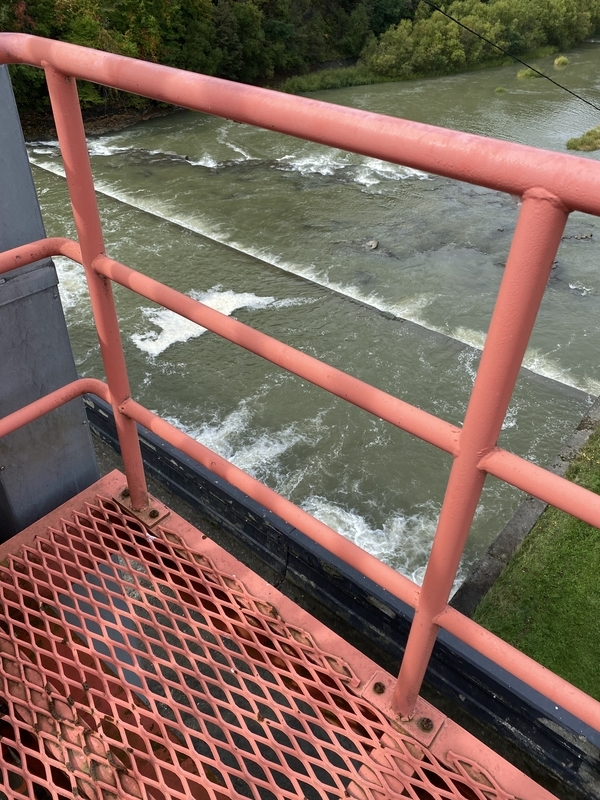 f:id:irodoriirodori:20211014030829j:plain