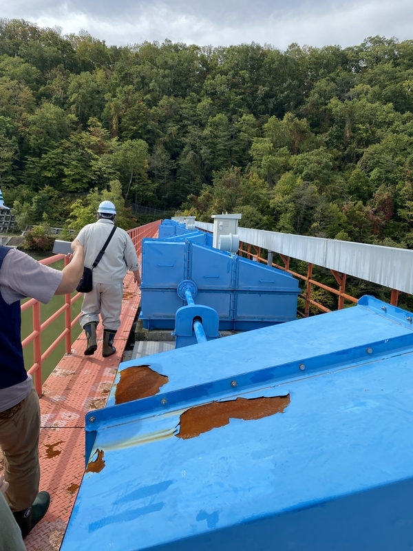 f:id:irodoriirodori:20211014030920j:plain