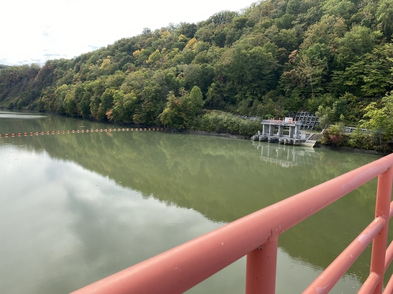 f:id:irodoriirodori:20211014030935j:plain