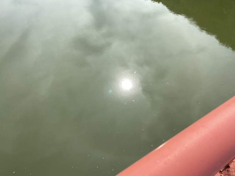 f:id:irodoriirodori:20211014030943j:plain