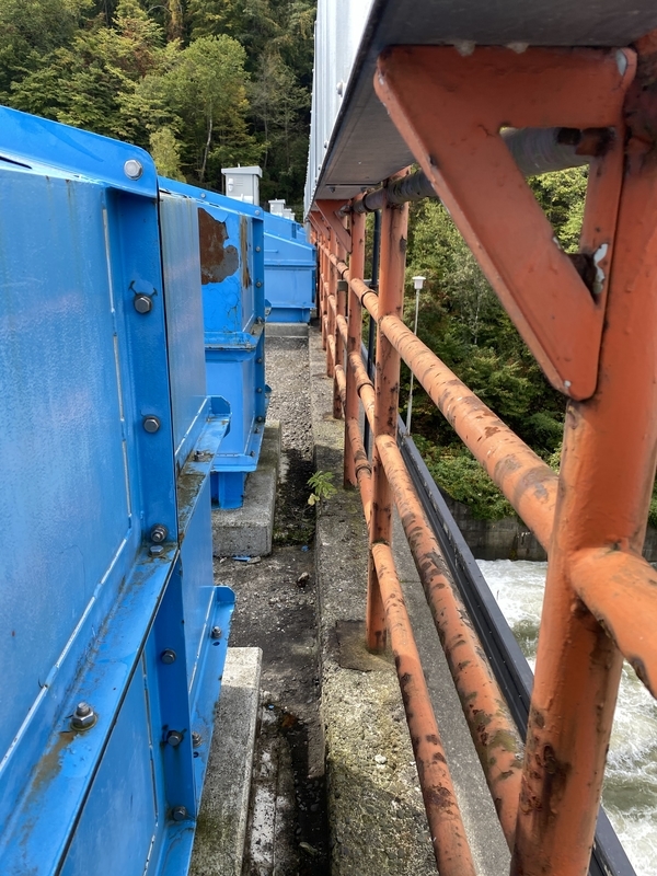 f:id:irodoriirodori:20211014030950j:plain