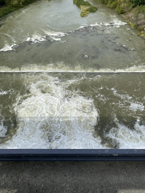 f:id:irodoriirodori:20211014031125j:plain