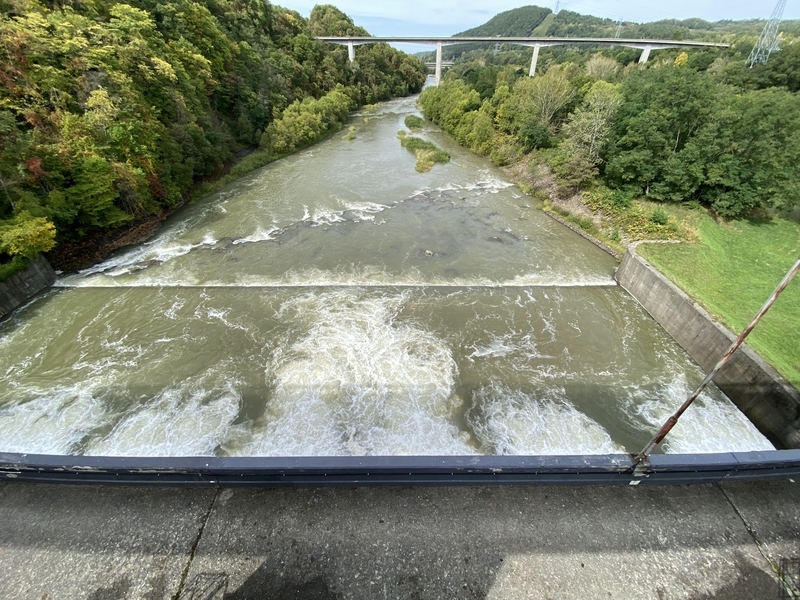 f:id:irodoriirodori:20211014031133j:plain