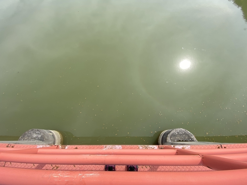 f:id:irodoriirodori:20211014031140j:plain