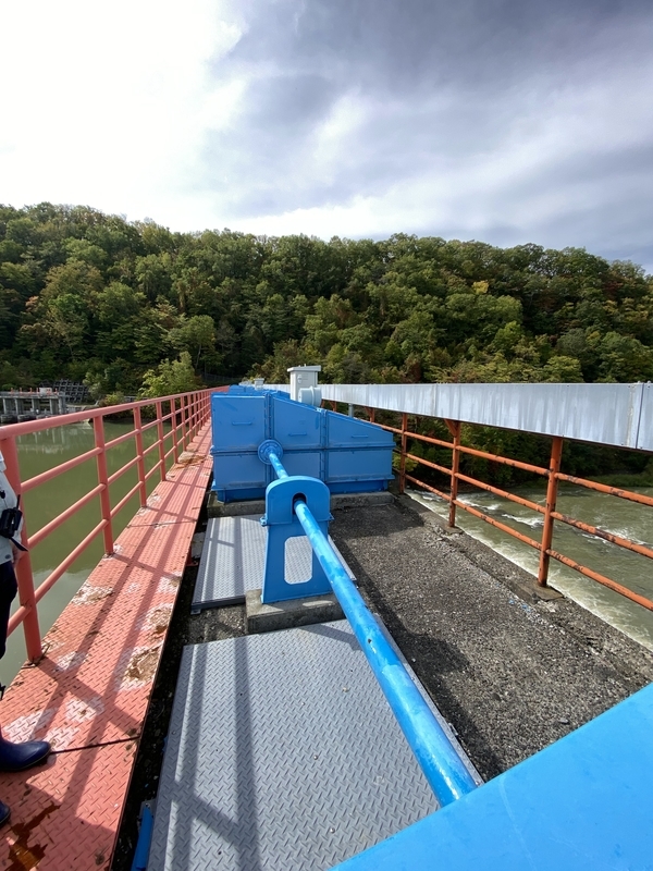 f:id:irodoriirodori:20211014031155j:plain