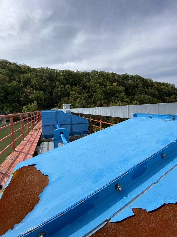 f:id:irodoriirodori:20211014031205j:plain