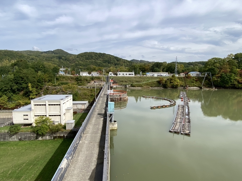 f:id:irodoriirodori:20211014031234j:plain