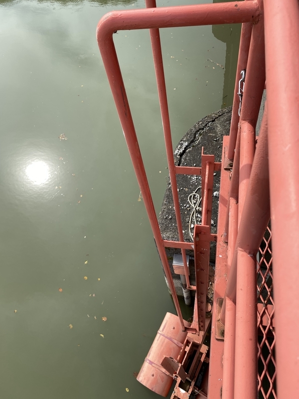 f:id:irodoriirodori:20211014031333j:plain