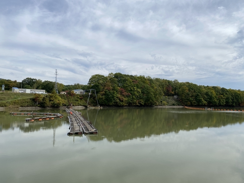 f:id:irodoriirodori:20211014031340j:plain