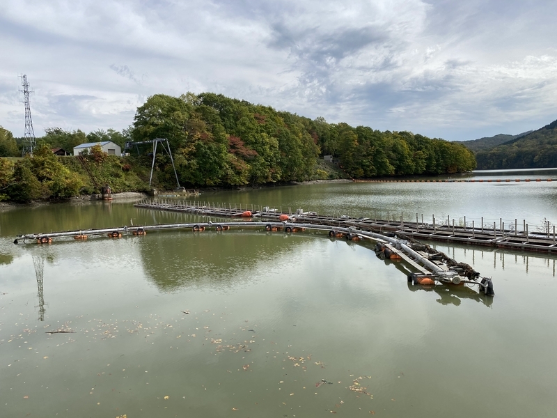 f:id:irodoriirodori:20211014031348j:plain