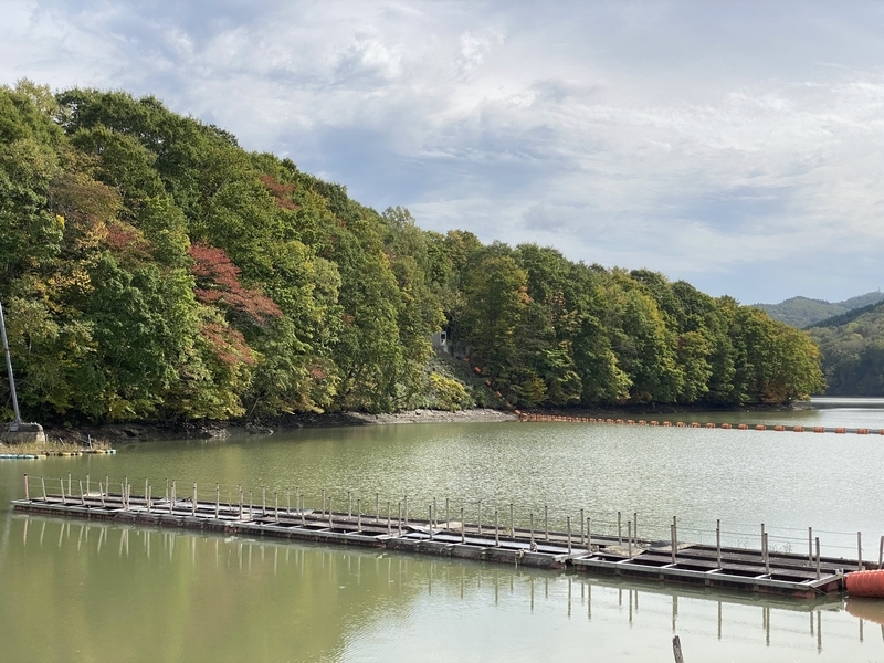 f:id:irodoriirodori:20211014031355j:plain