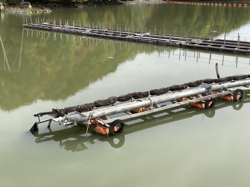 f:id:irodoriirodori:20211014031404j:plain