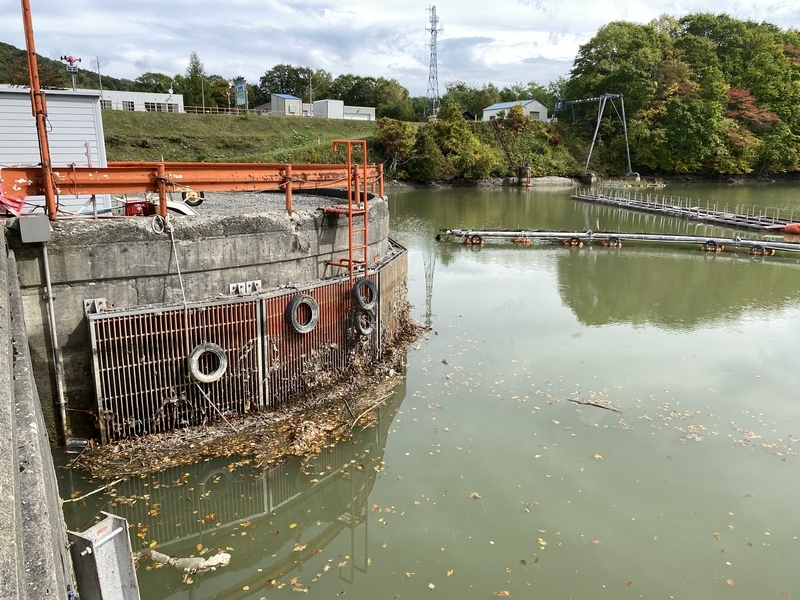 f:id:irodoriirodori:20211014031428j:plain