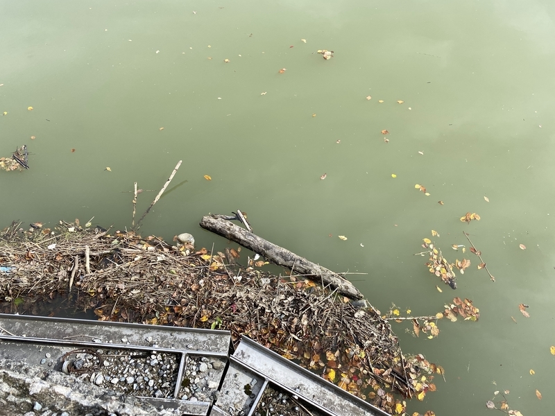 f:id:irodoriirodori:20211014031436j:plain