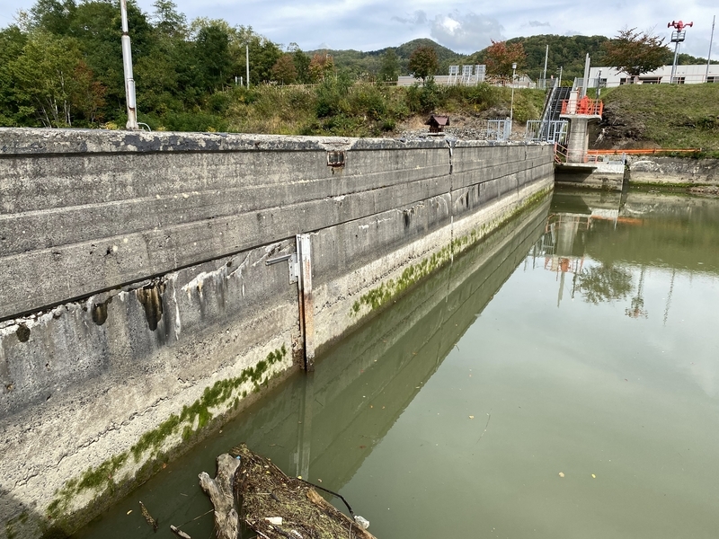 f:id:irodoriirodori:20211014031444j:plain