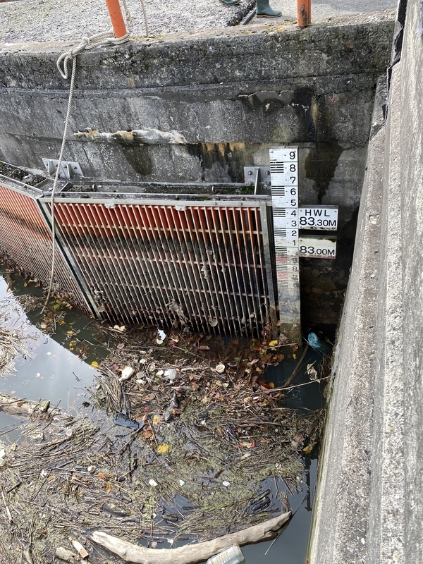 f:id:irodoriirodori:20211014031454j:plain