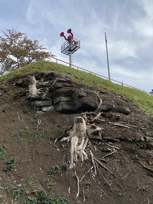 f:id:irodoriirodori:20211014031606j:plain