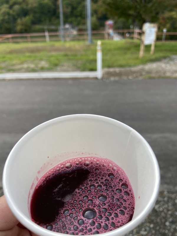 f:id:irodoriirodori:20211014031622j:plain