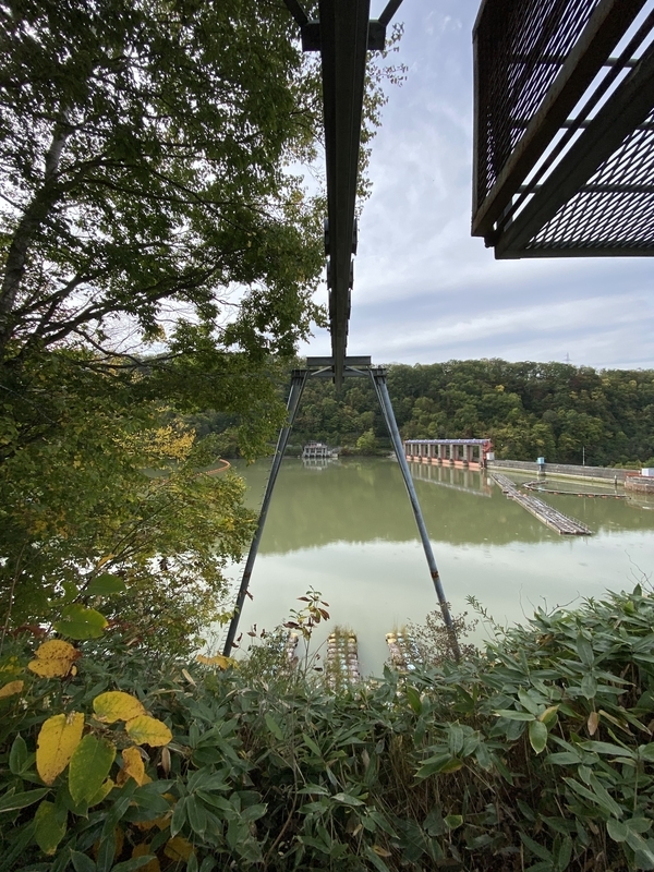 f:id:irodoriirodori:20211014031647j:plain