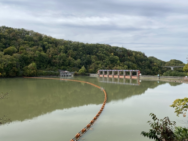 f:id:irodoriirodori:20211014031802j:plain