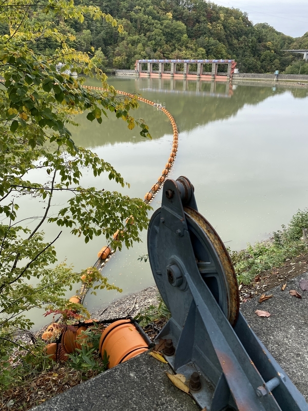 f:id:irodoriirodori:20211014031810j:plain