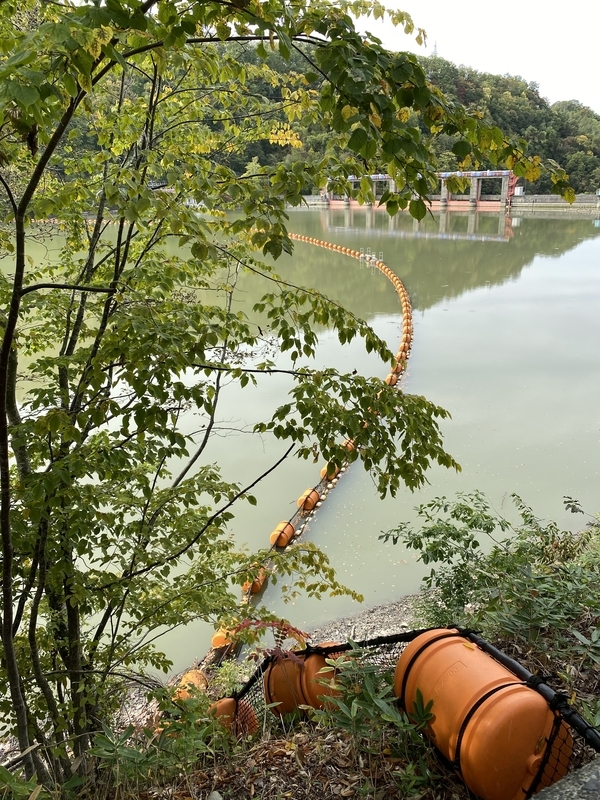 f:id:irodoriirodori:20211014031818j:plain