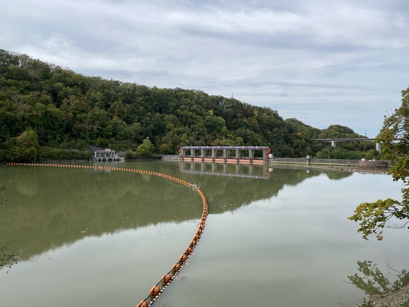 f:id:irodoriirodori:20211014031850j:plain