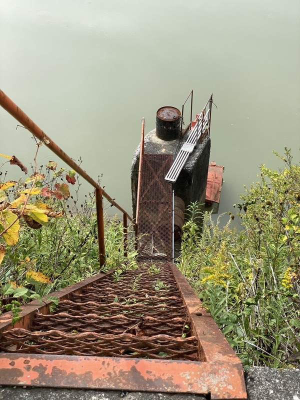 f:id:irodoriirodori:20211014031923j:plain