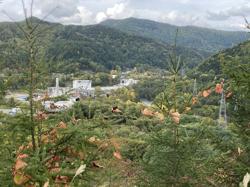 f:id:irodoriirodori:20211014032027j:plain