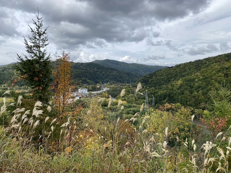 f:id:irodoriirodori:20211014032036j:plain