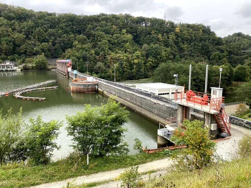 f:id:irodoriirodori:20211014223120j:plain