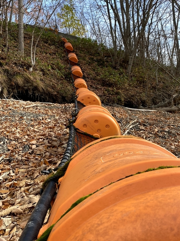 f:id:irodoriirodori:20211026005137j:plain