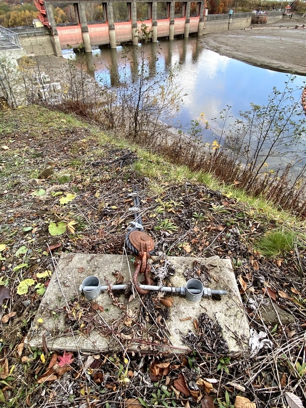 f:id:irodoriirodori:20211026012103j:plain