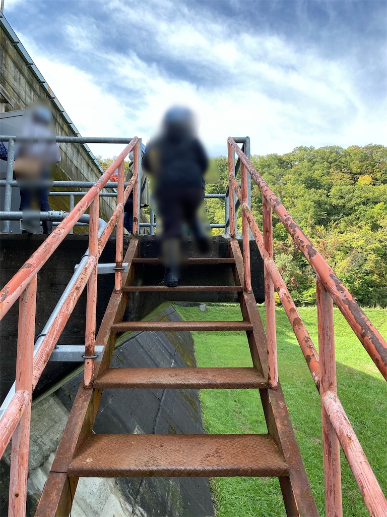 f:id:irodoriirodori:20211027204611j:plain