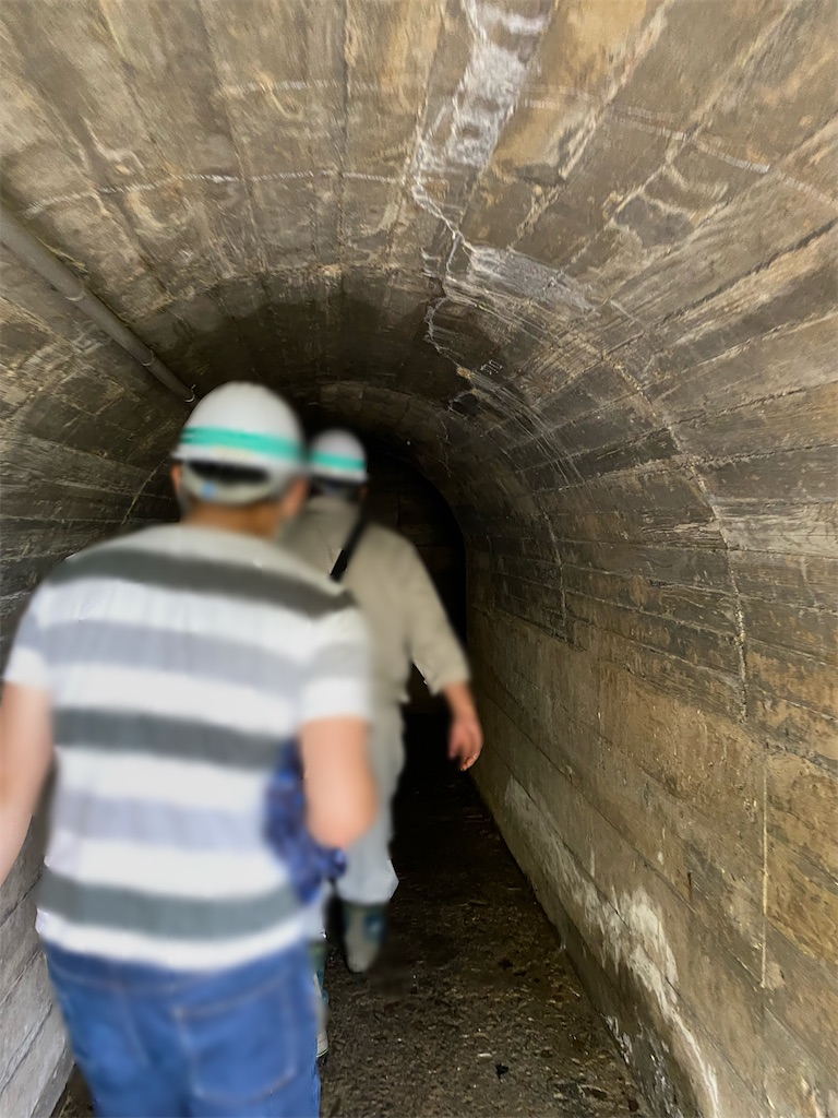 f:id:irodoriirodori:20211027233830j:plain